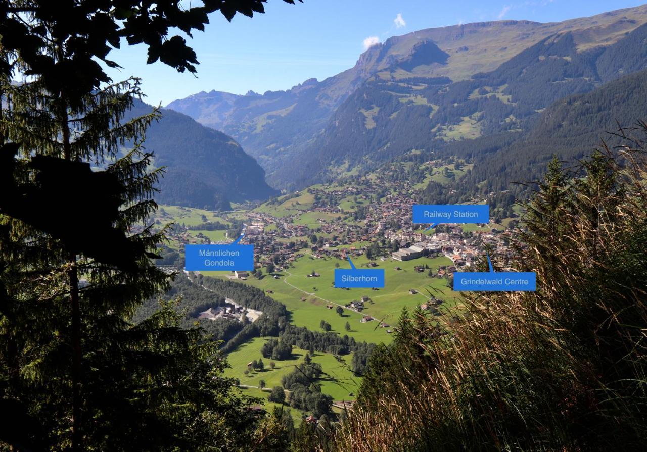 Silberhorn Apartment Grindelwald Luaran gambar
